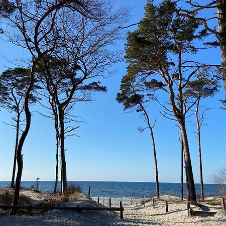 Ferienwohnung Strandkoje オストゼーバート・ディアーハーゲン エクステリア 写真